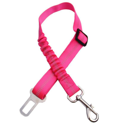 Seatbelt Secured Car Leash