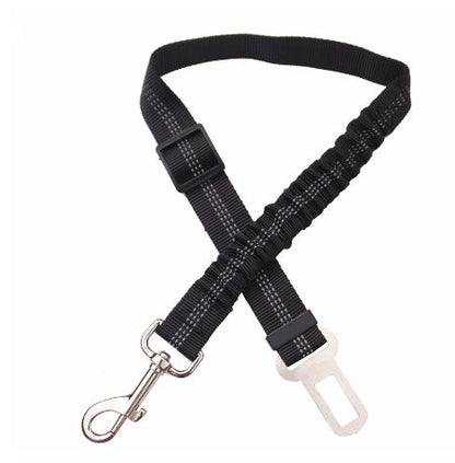 Seatbelt Secured Car Leash